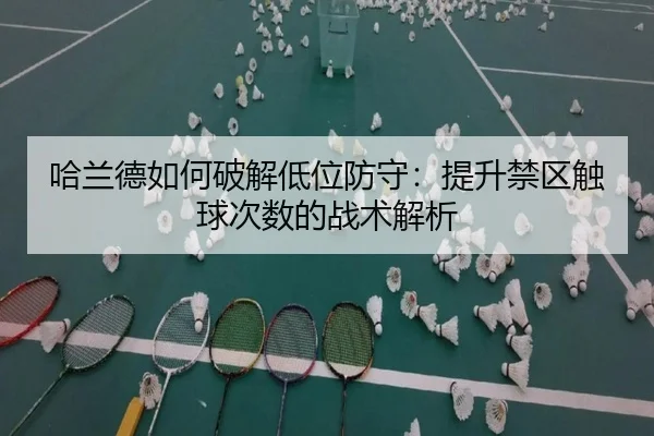 ha-lan-de-ru-he-po-jie-di-wei-fang-shou-ti-sheng-jin-qu-chu-qiu-ci-shu-de-zhan-shu-jie-xi-2-998.jpg